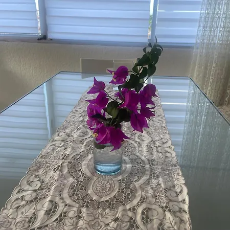 Teide & Atlantic View Alloggio in famiglia